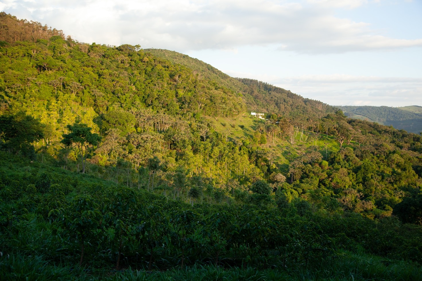 The Ecofeminist Movement Empowering Women in Agriculture