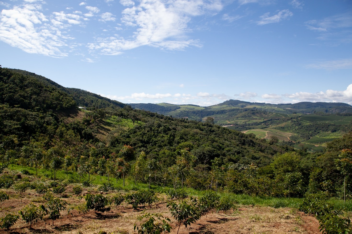 The Power of Community-Led Cooperatives in Kyaka II
